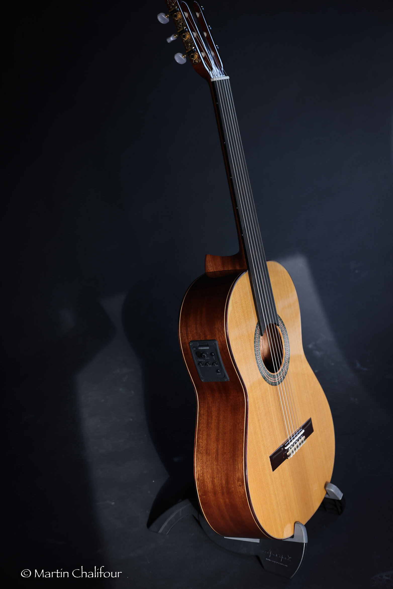 Altamira N400+ model fretless classical guitar — Official resellers of