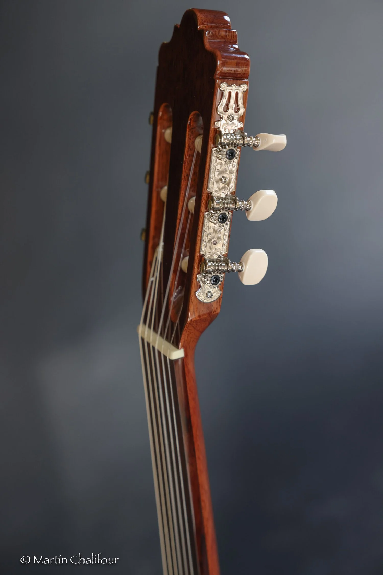 G&G Guitars shop for the US and Canada — Official resellers of Altamira