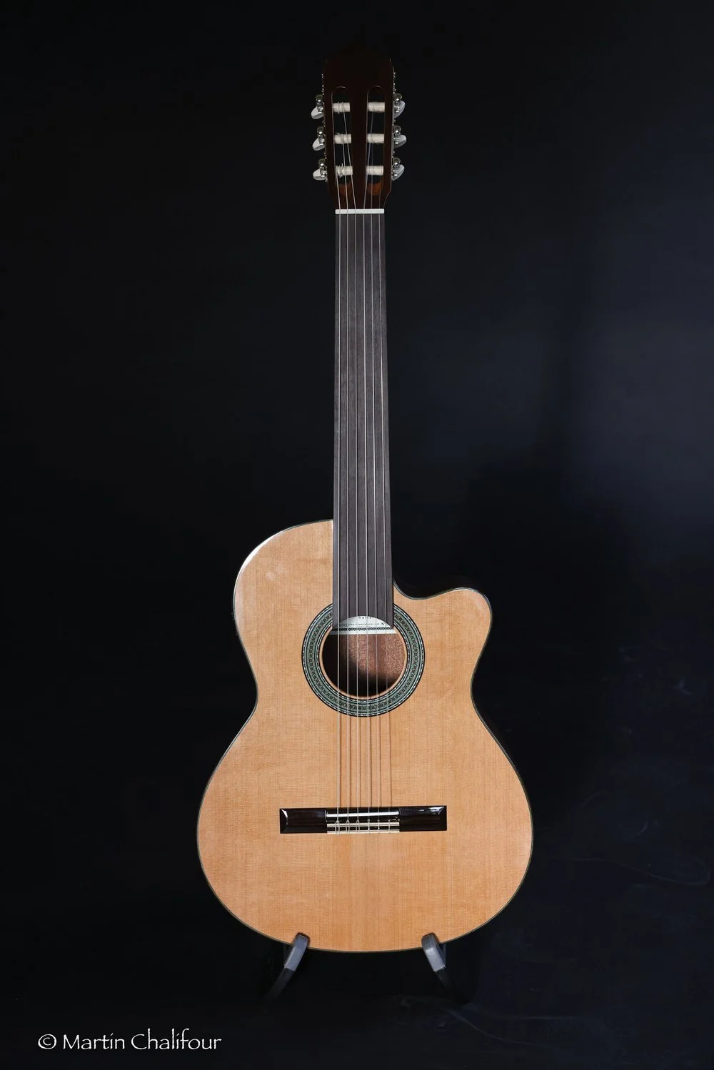 Buy Now N200+ Cutaway — Official resellers of Altamira fretless
