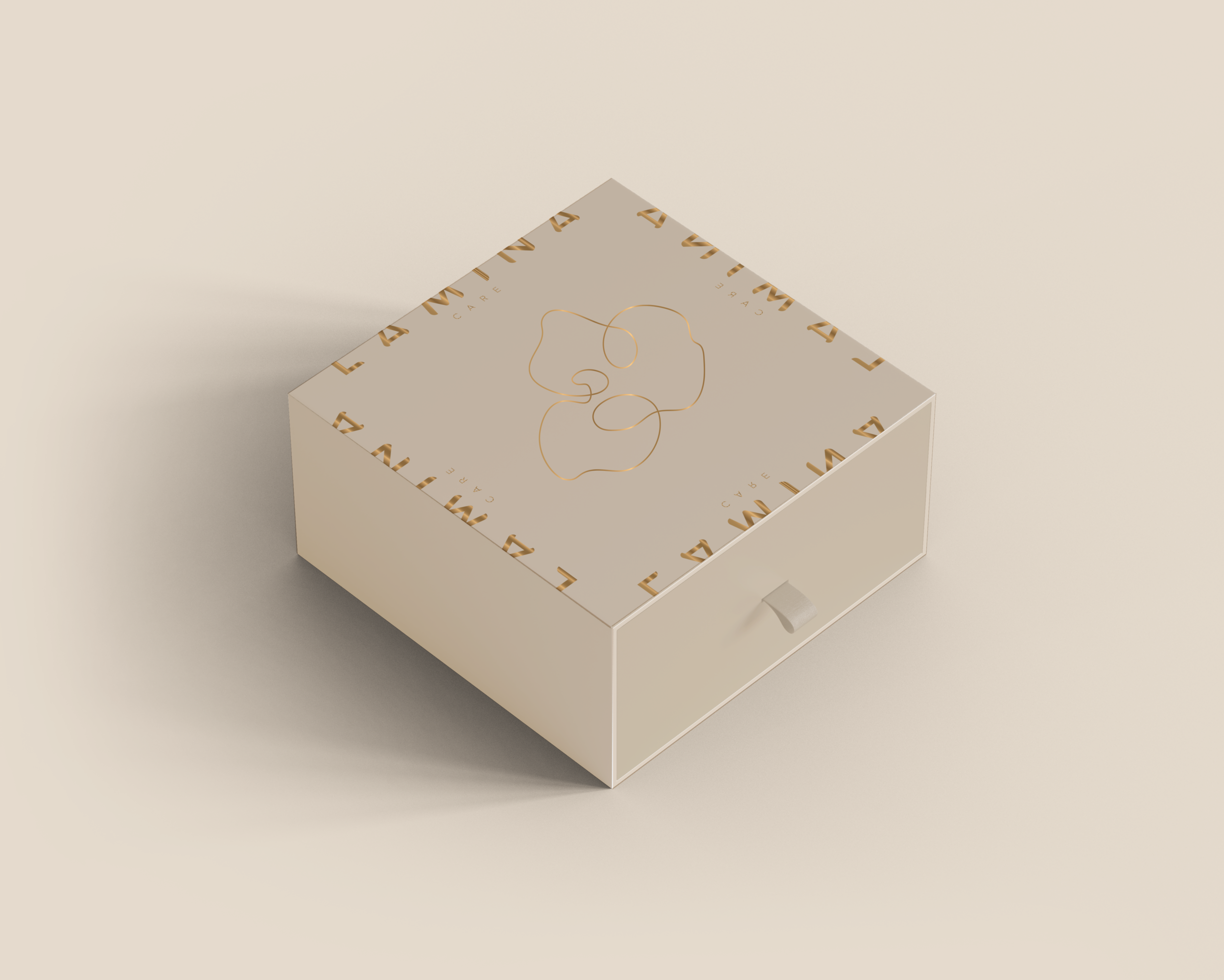 lamina box packaging .png