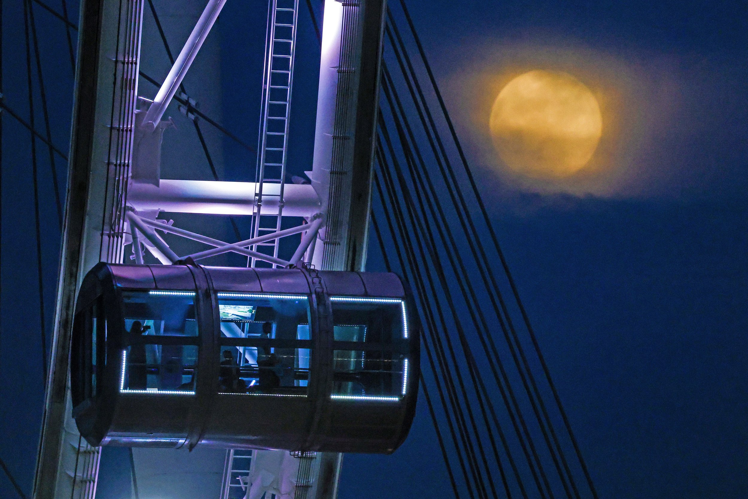 20241115_26063353_4n7a3528 copy.jpg