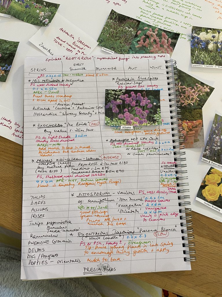 Planting plan 1 CB1.jpeg