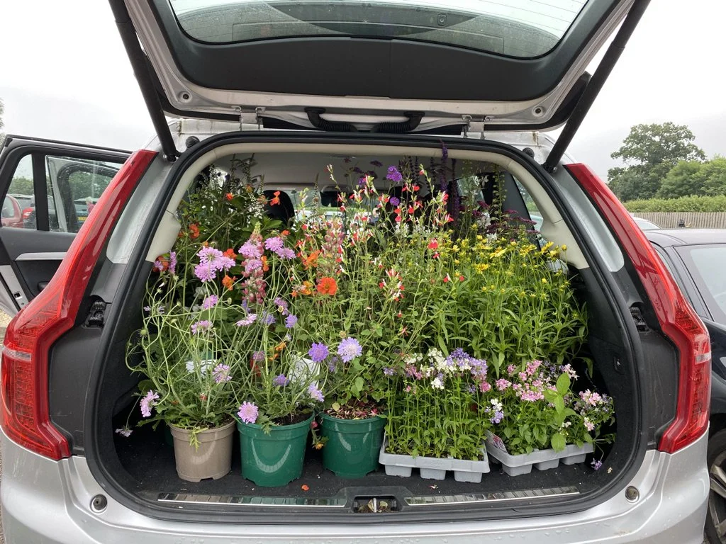 Planting plan 5 GG1.jpeg