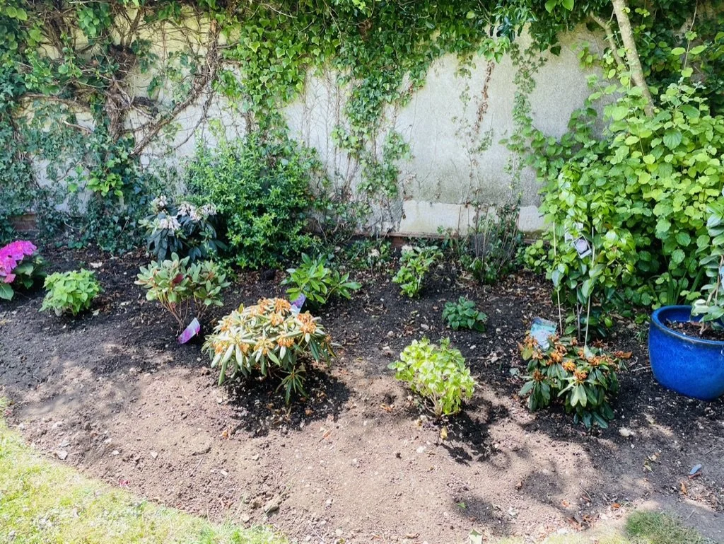 Planting plan 8 Walk1.jpeg