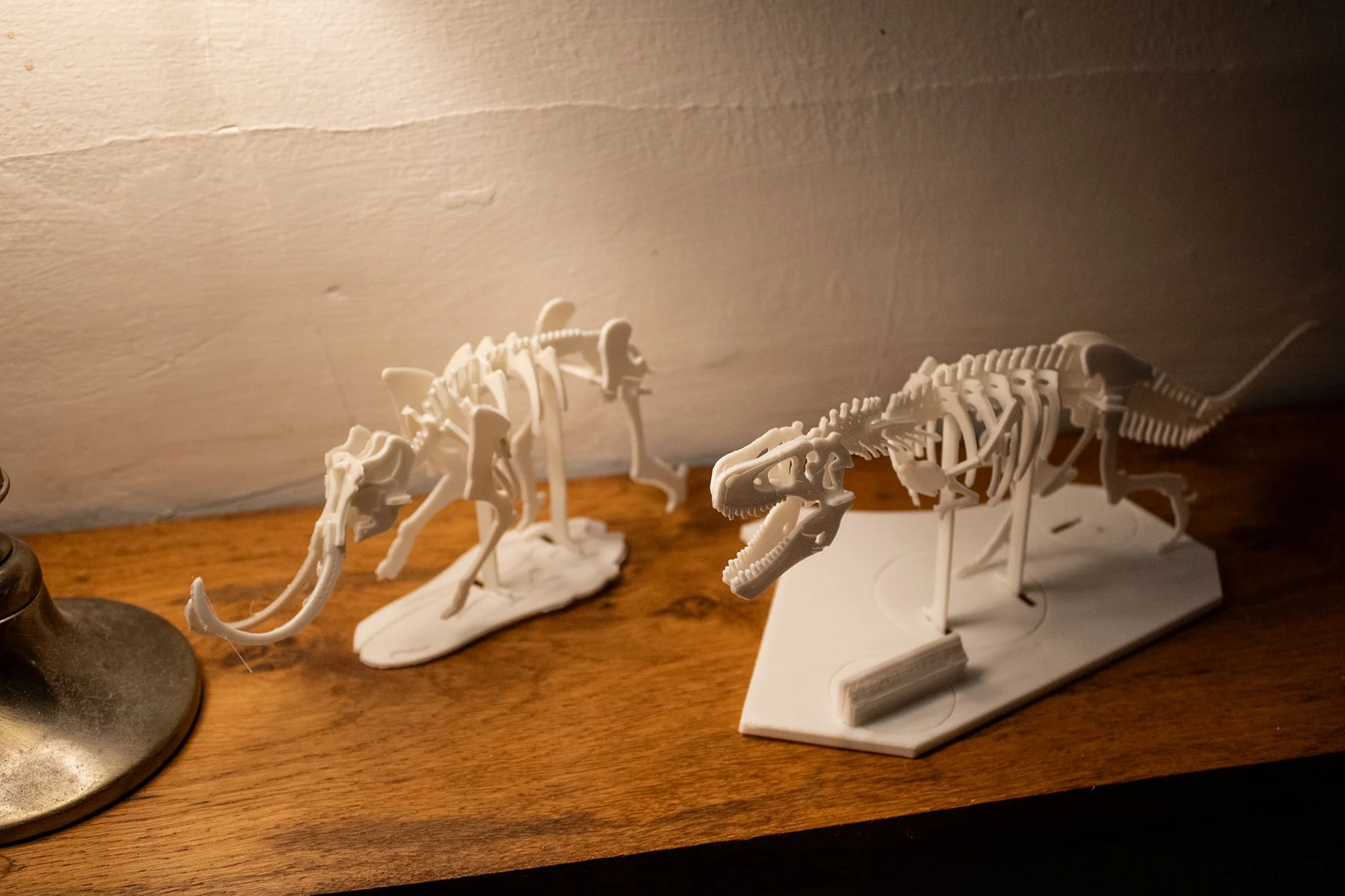 flat-pack mammoth and t-rex