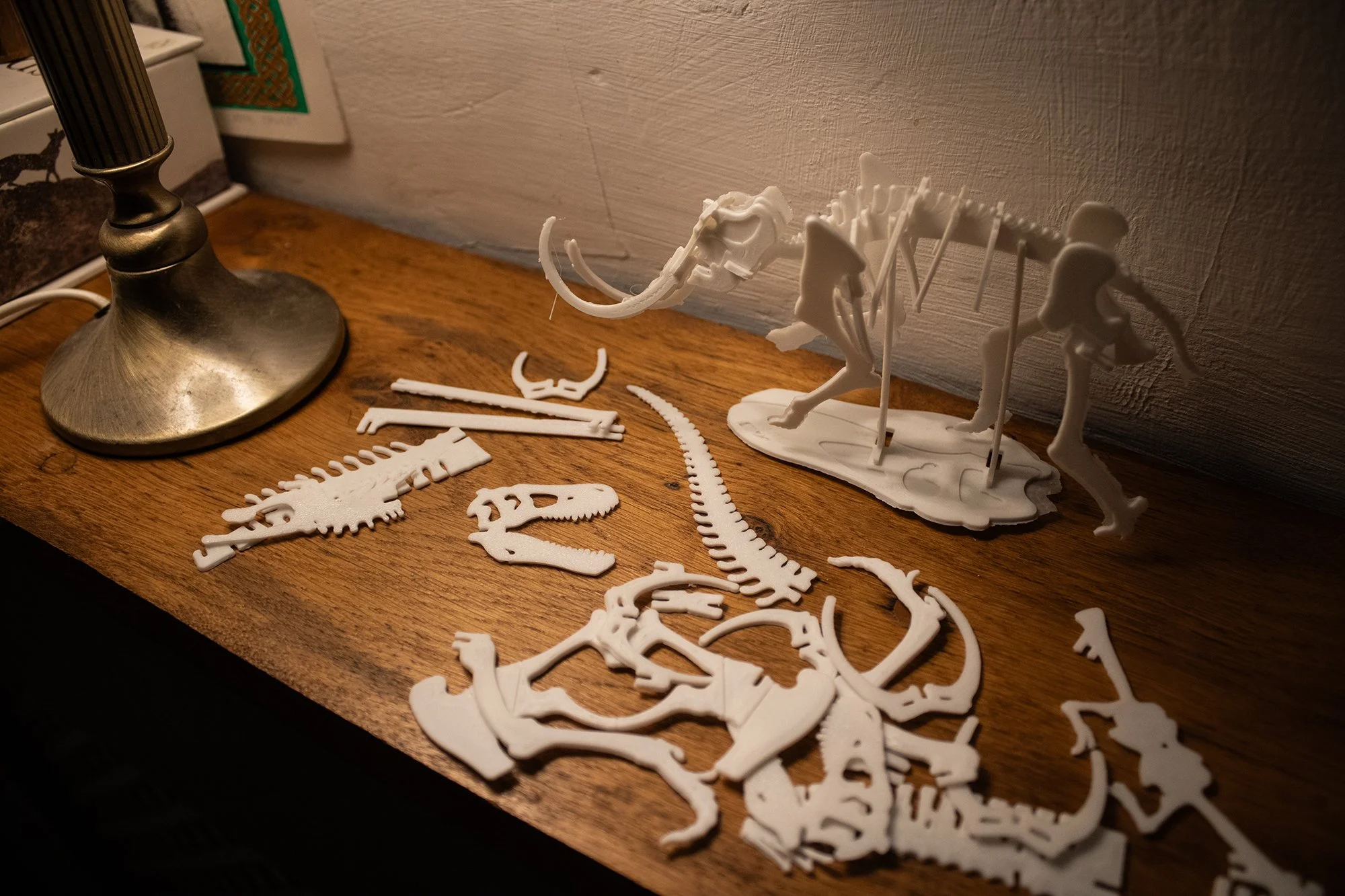 flat-pack mammoth and t-rex