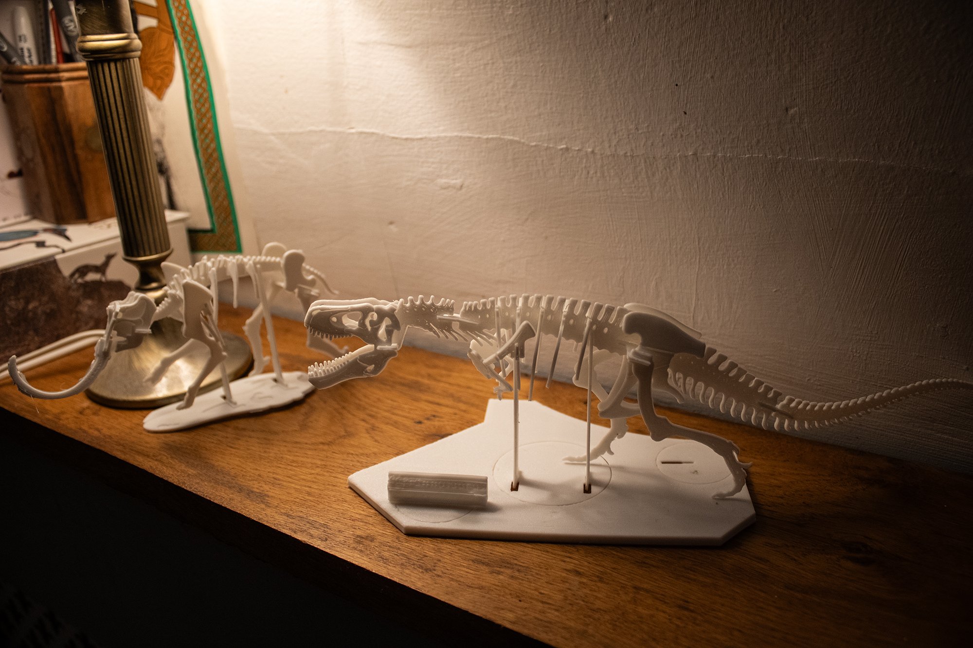 flat-pack mammoth and t-rex