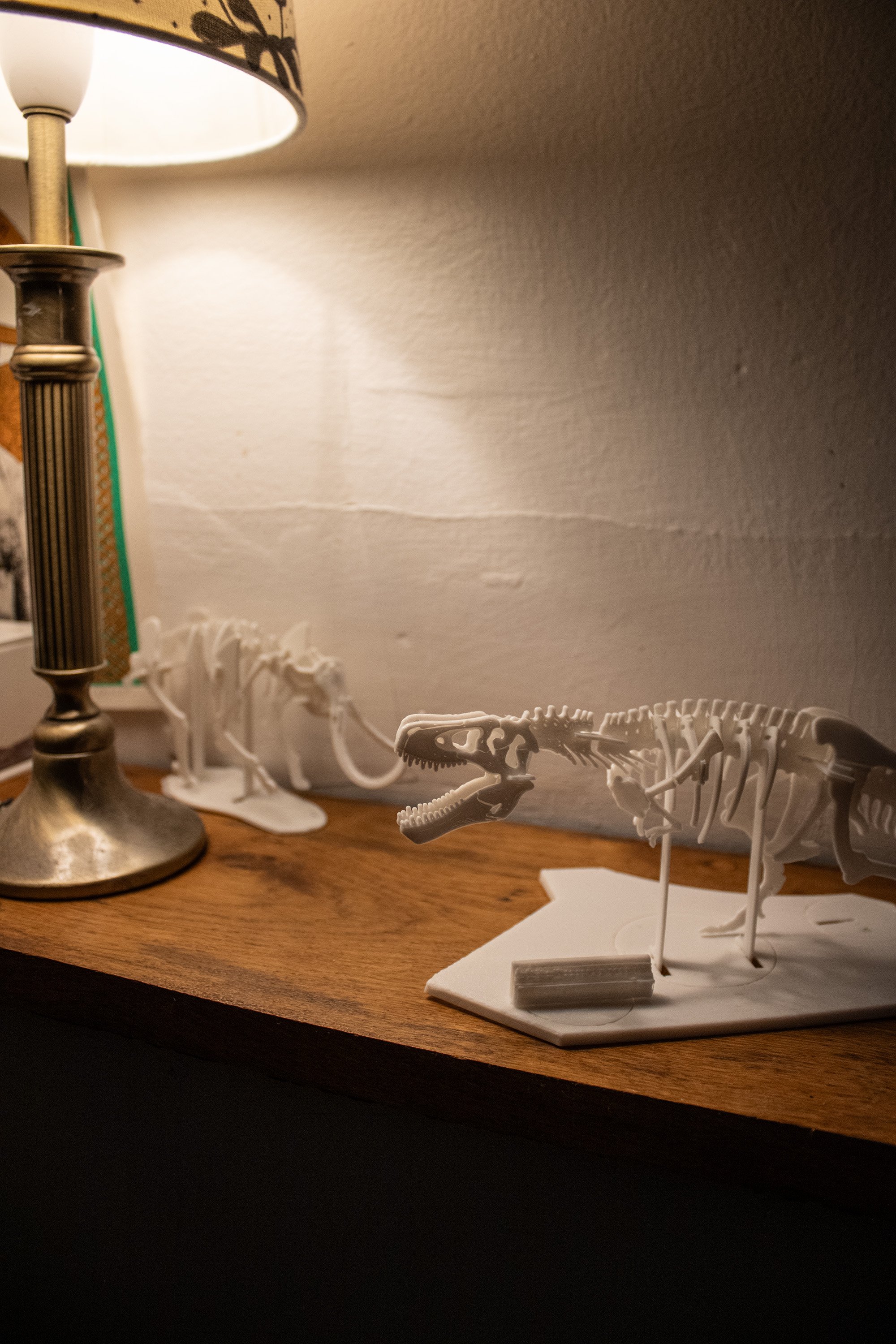 flat-pack mammoth and t-rex