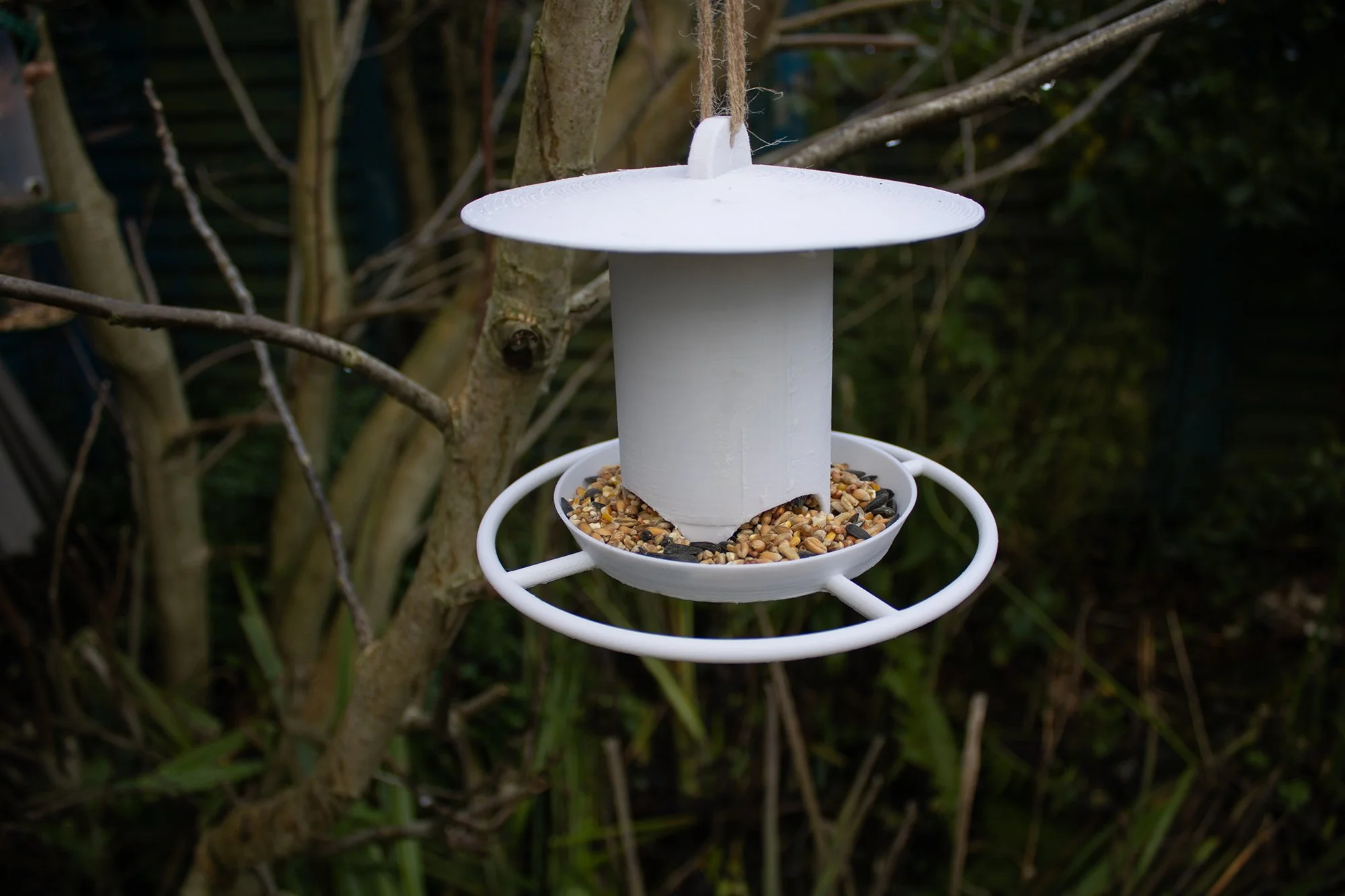 bird feeder