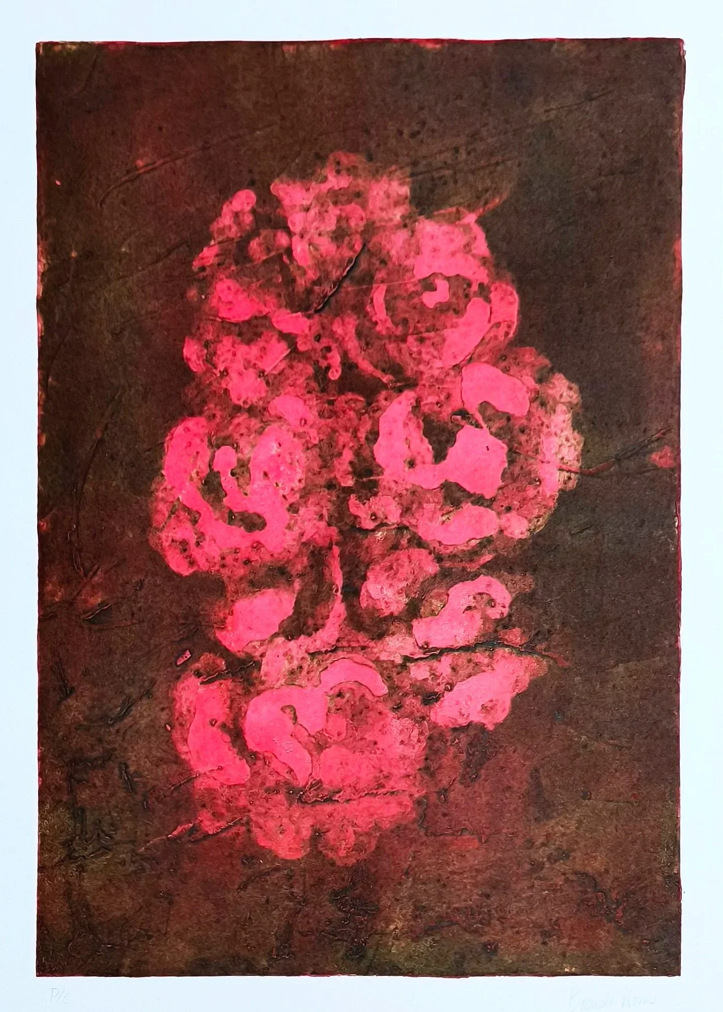 Título: Origen 2
Técnica: Collagraph y Carborundo
Papel SuperAlfa (50x70cm)
Brenda Novas 2024