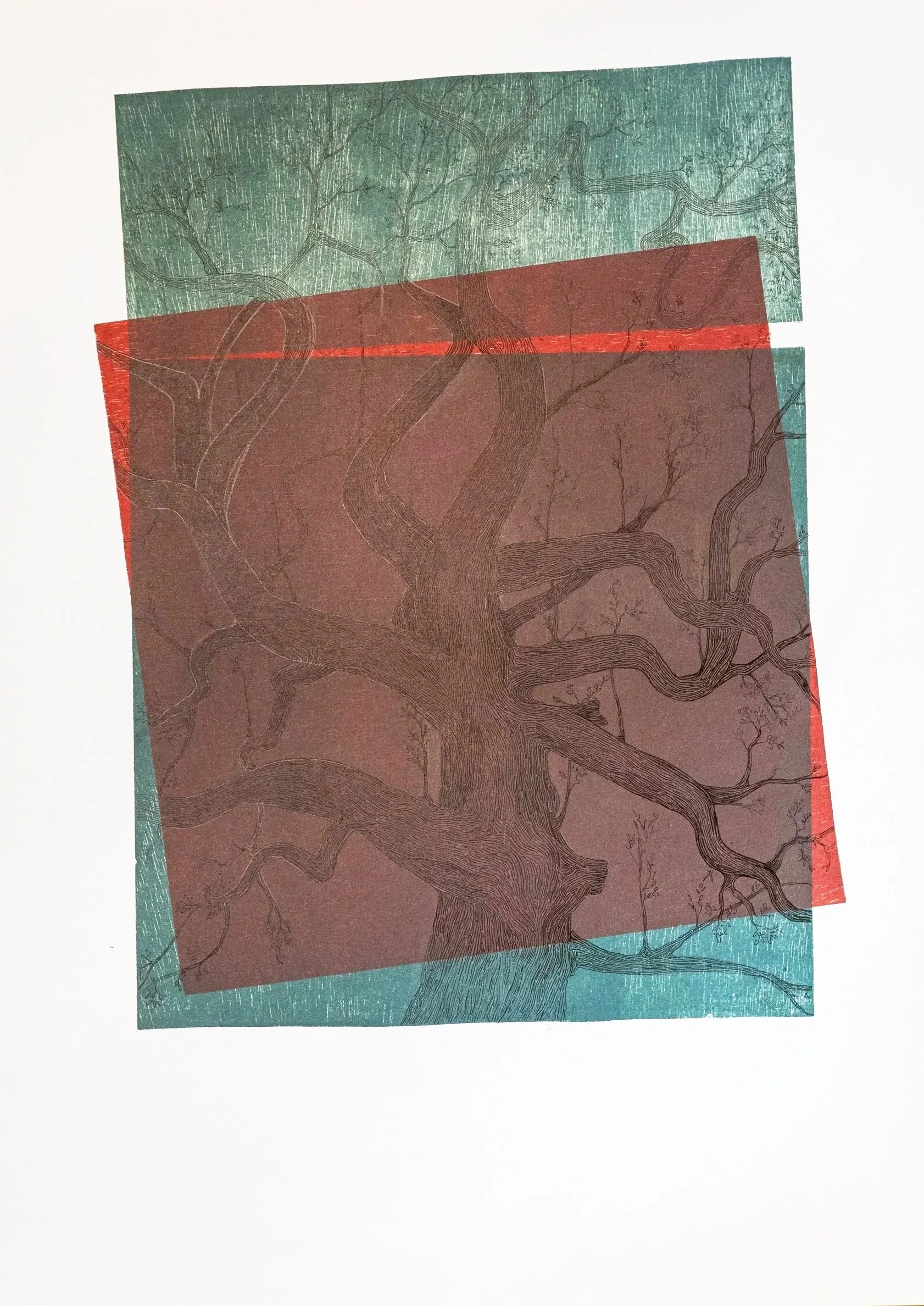 Título: RESPIRA
Técnica: Xilografia, Dibujo tinta negra 
Papel Fabriano (50x70cm)
Brenda Novas 2025