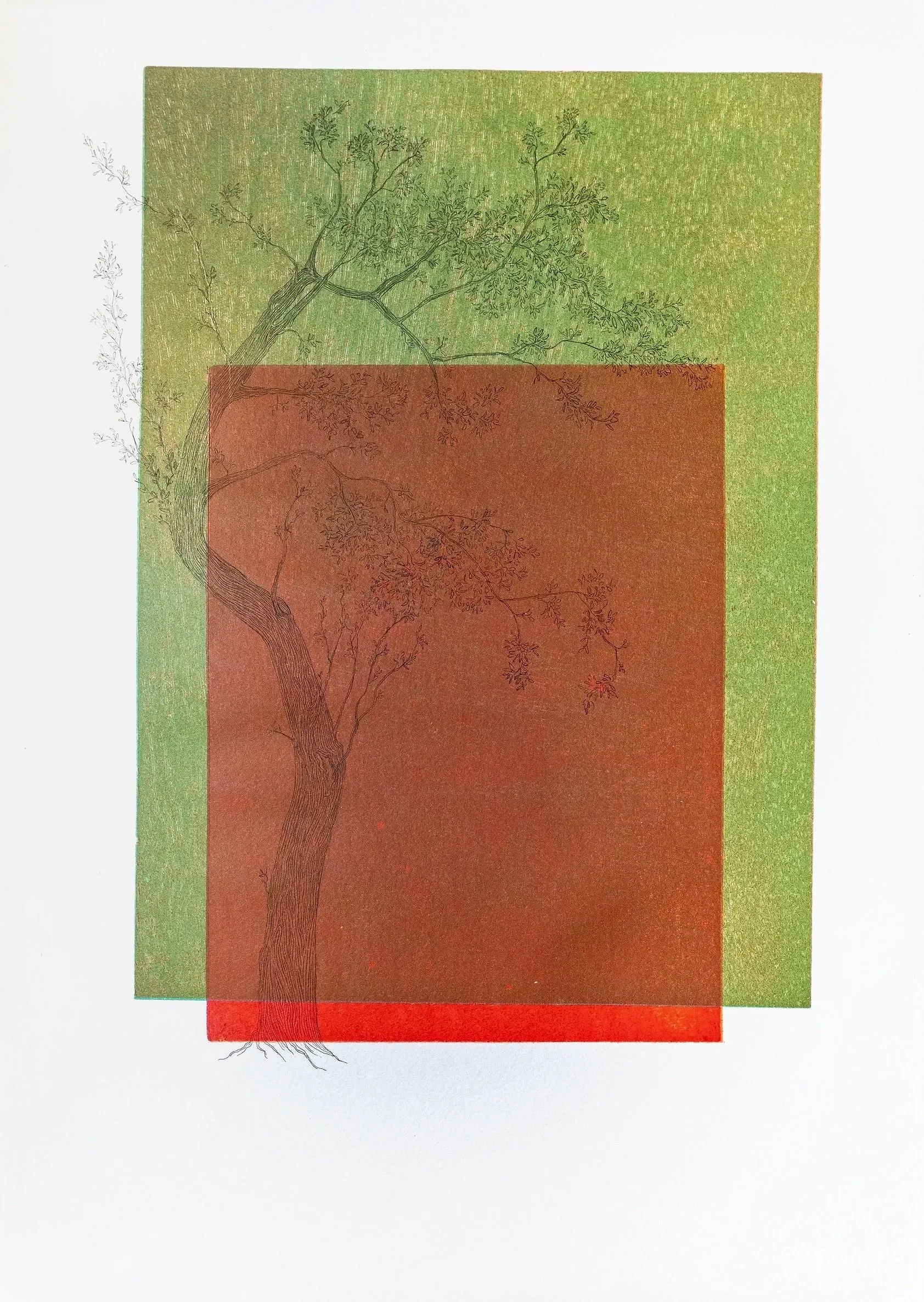 Título: VIDA II
Técnica: Xilografia, Dibujo tinta negra 
Papel Fabriano (50x70cm)
Brenda Novas 2025