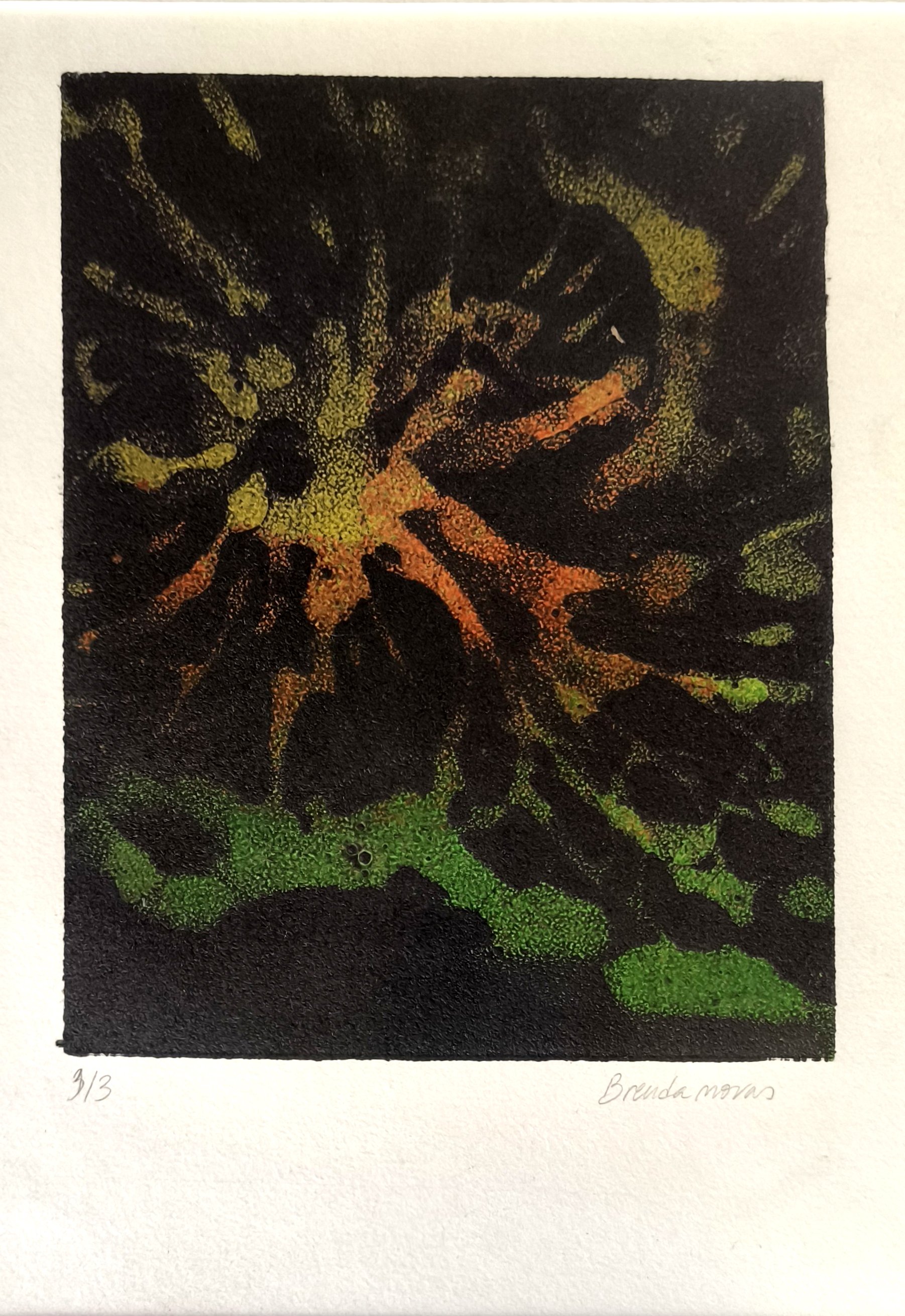 Título: Bloom
Técnica: Carborundo
Papel SuperAlfa (50x70cm)
Brenda Novas 2024