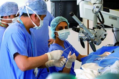 Accs Curriculum Accs