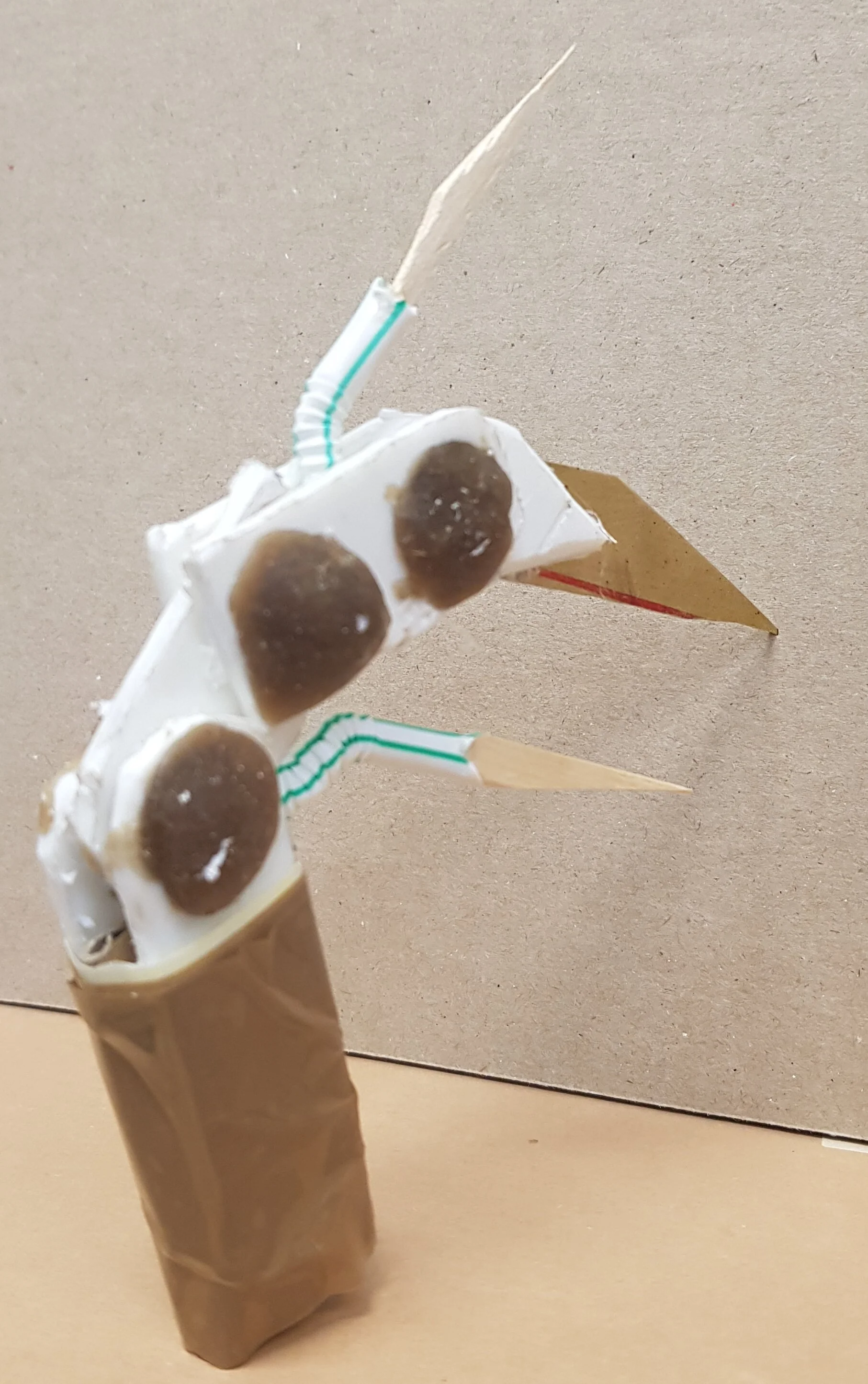 20180906_143202.jpg