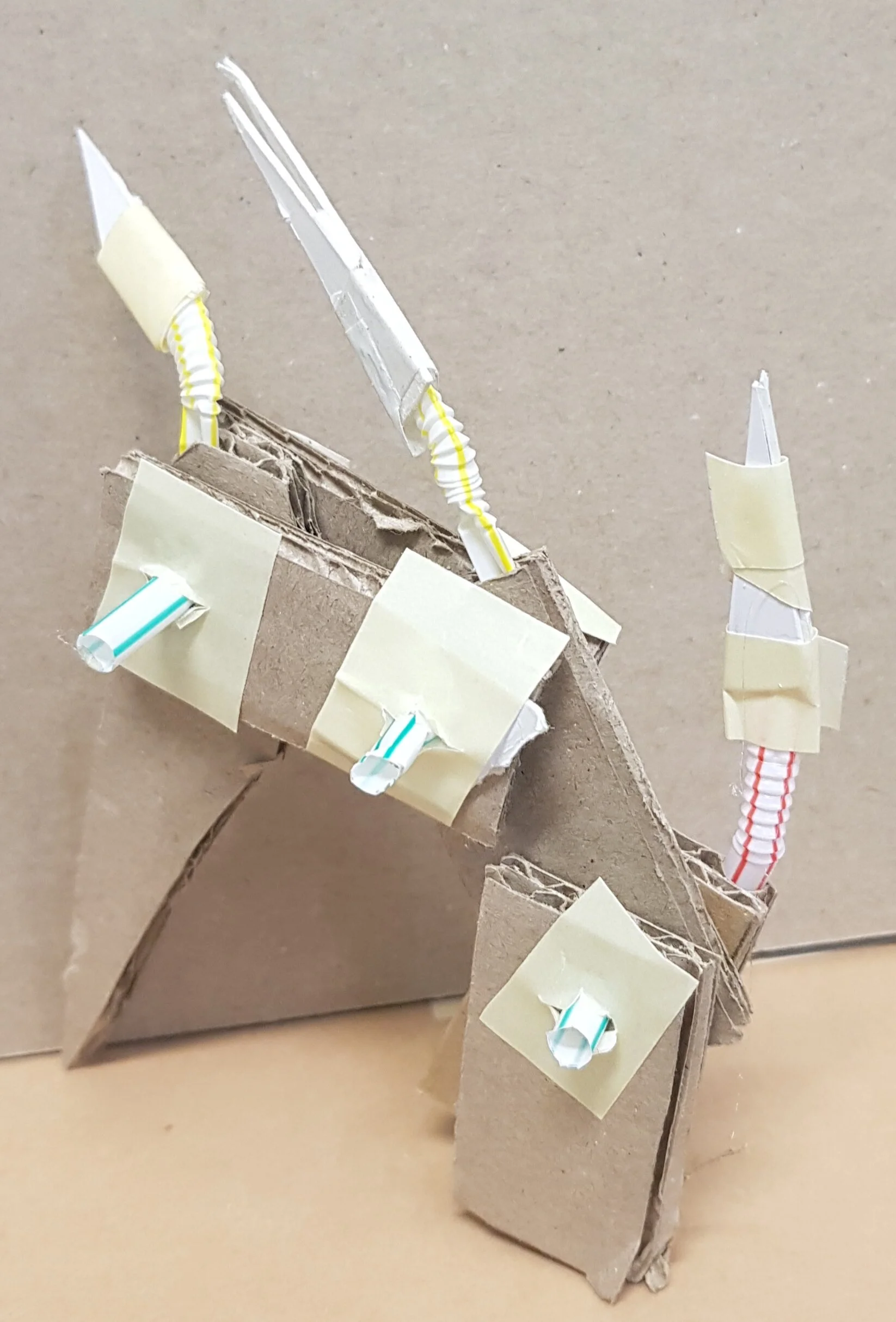 20180906_143311.jpg