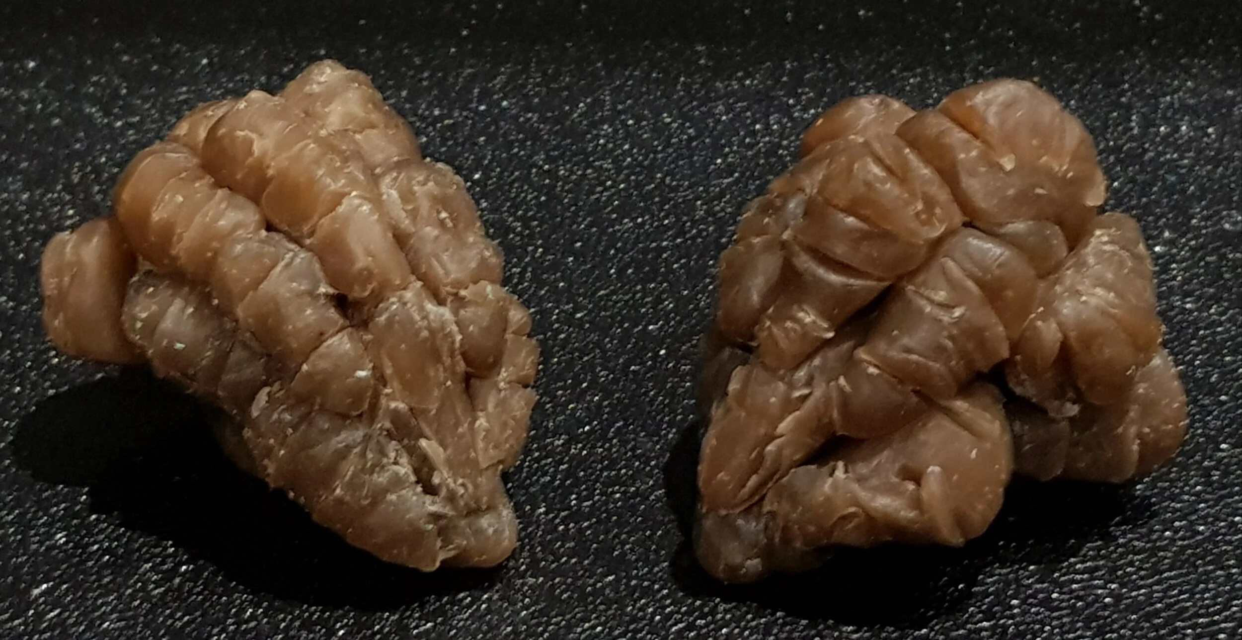 20180908_155308.jpg