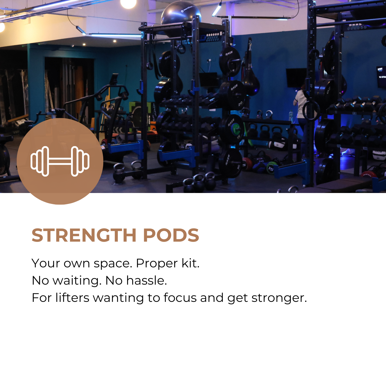 Strength Pod private training space