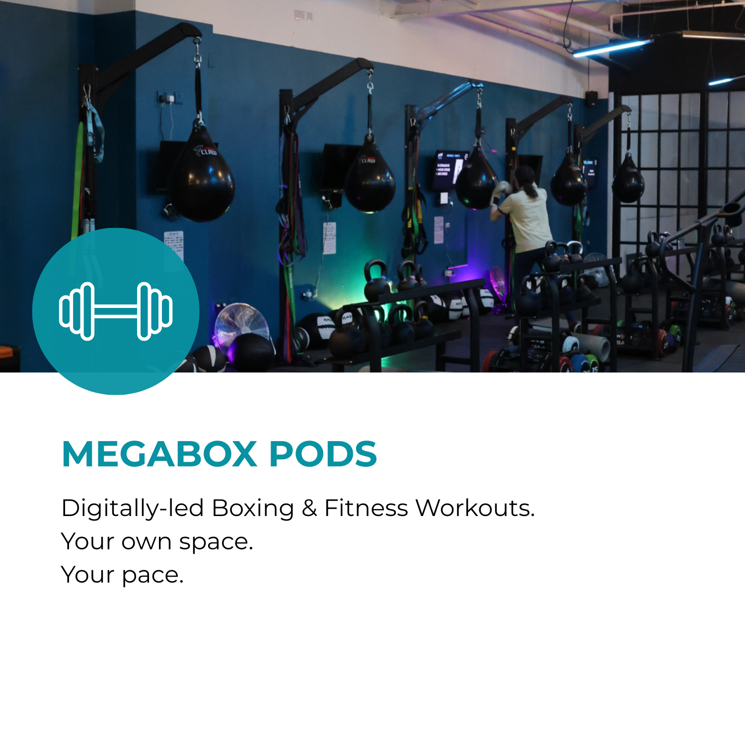 MegaBox Circuit Pod Session