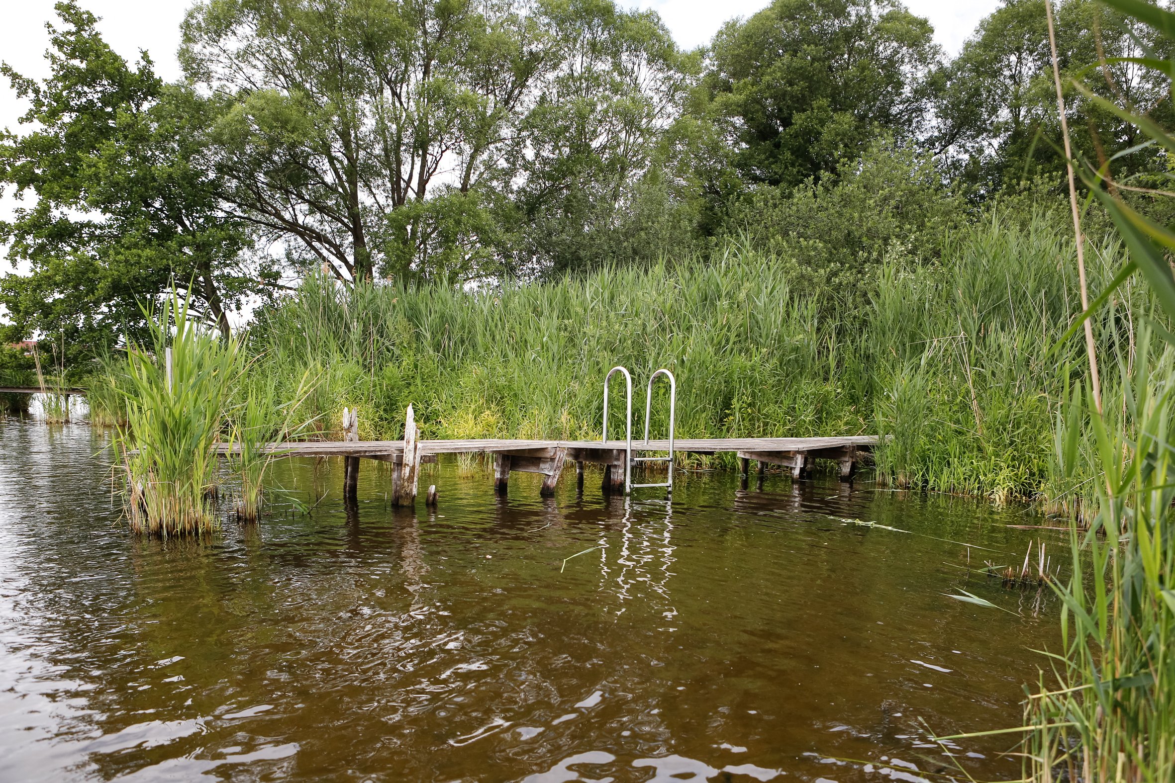 HausAmSee2018_JuliaLukaLilaNitzschke_Zoooi-0792.jpg