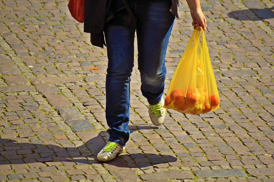 States Ban Single-Use Plastic Bags