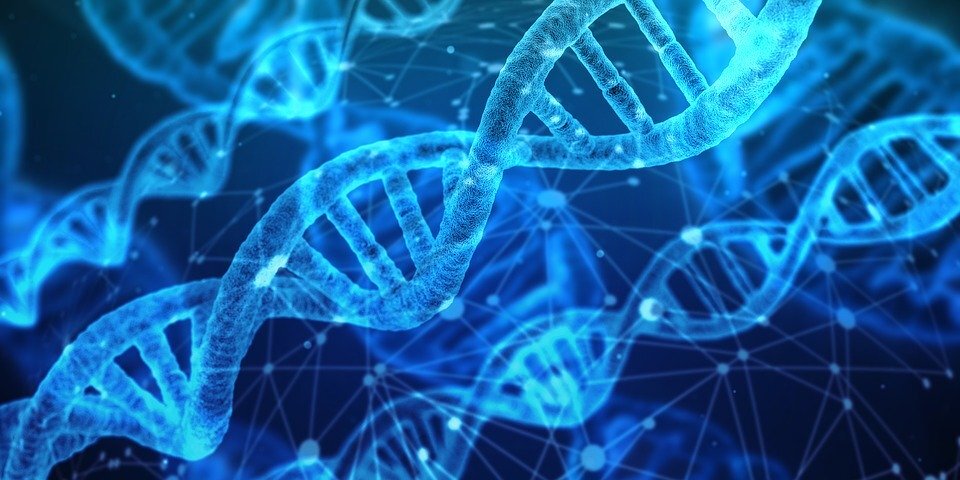 Exploring DNA-based Data Storage