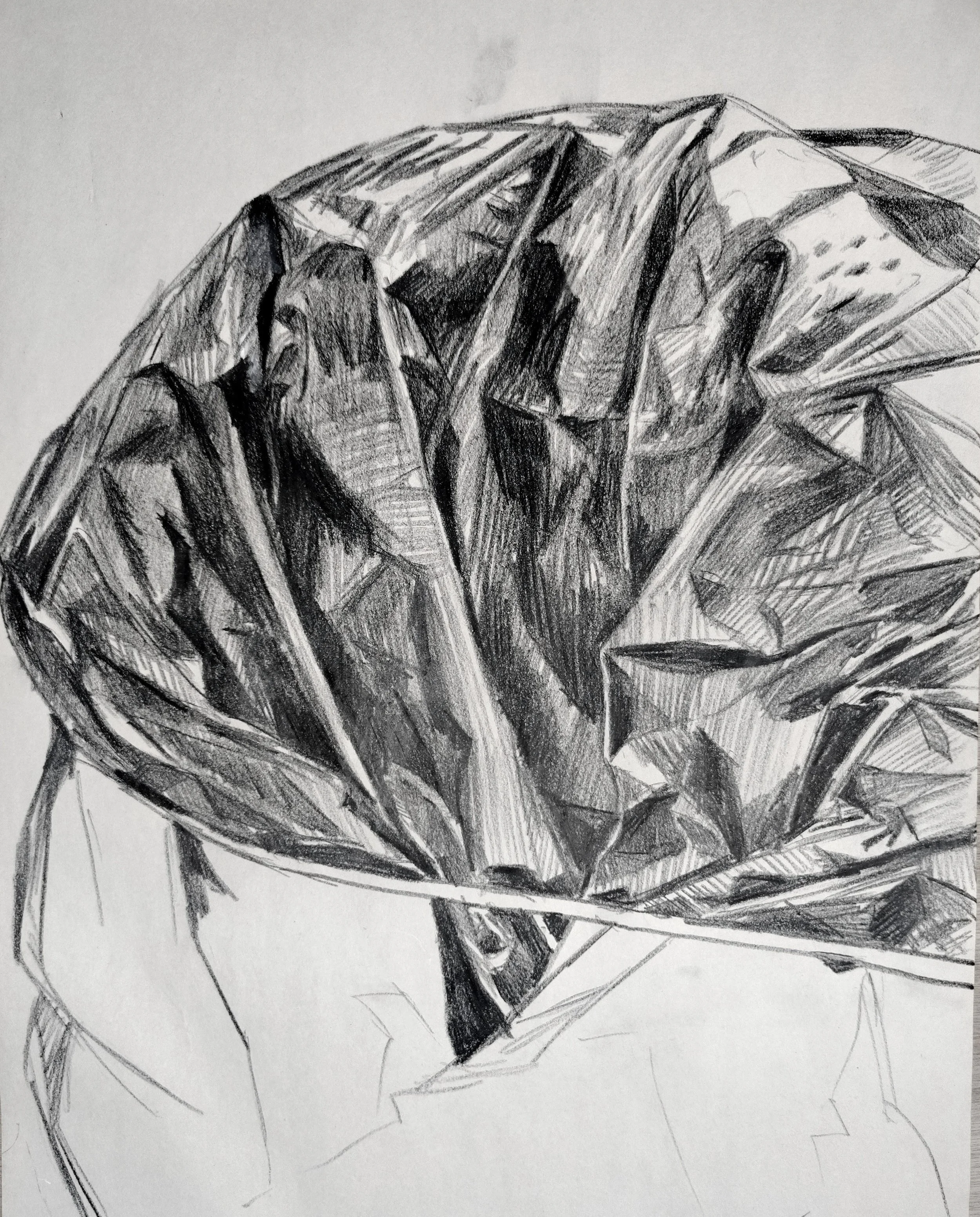 Tarp_02.jpg