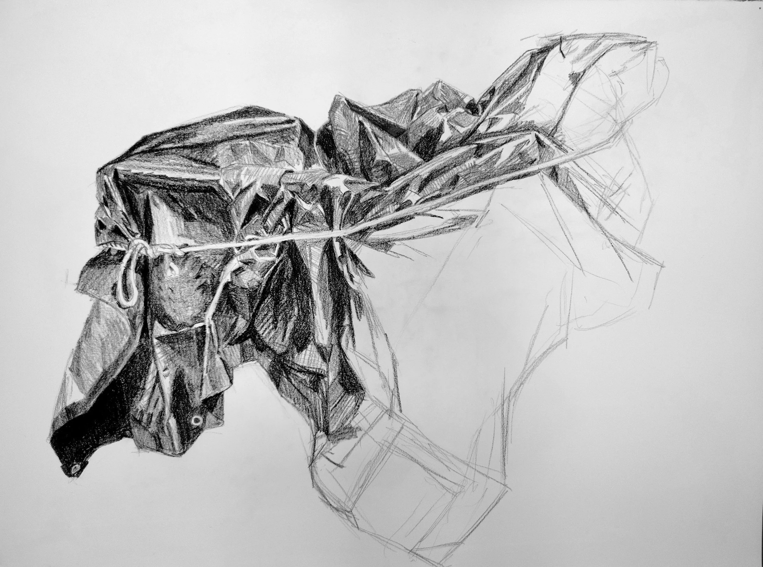 Tarp_05.jpg