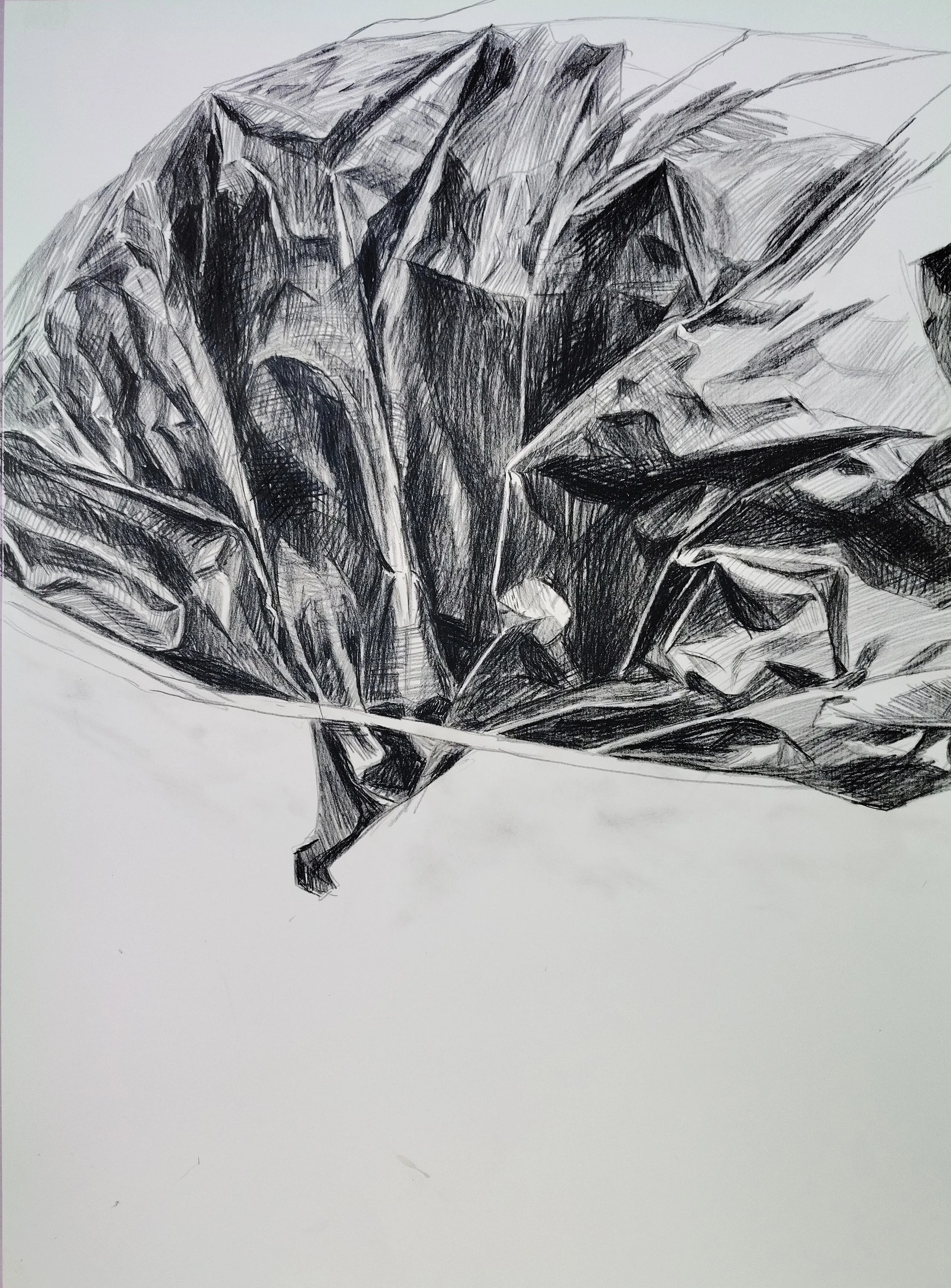 Tarp_09.jpg