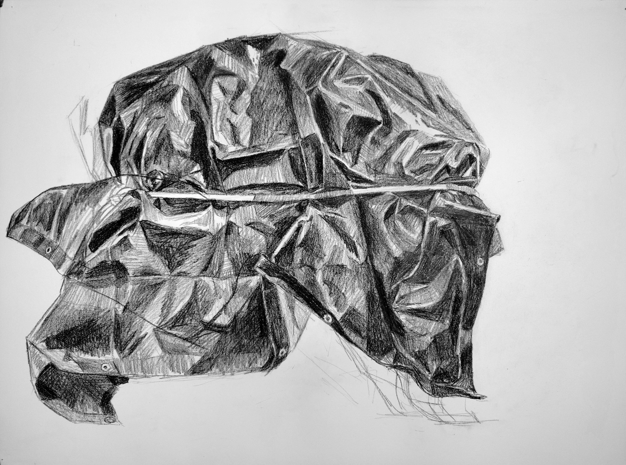 Tarp #6