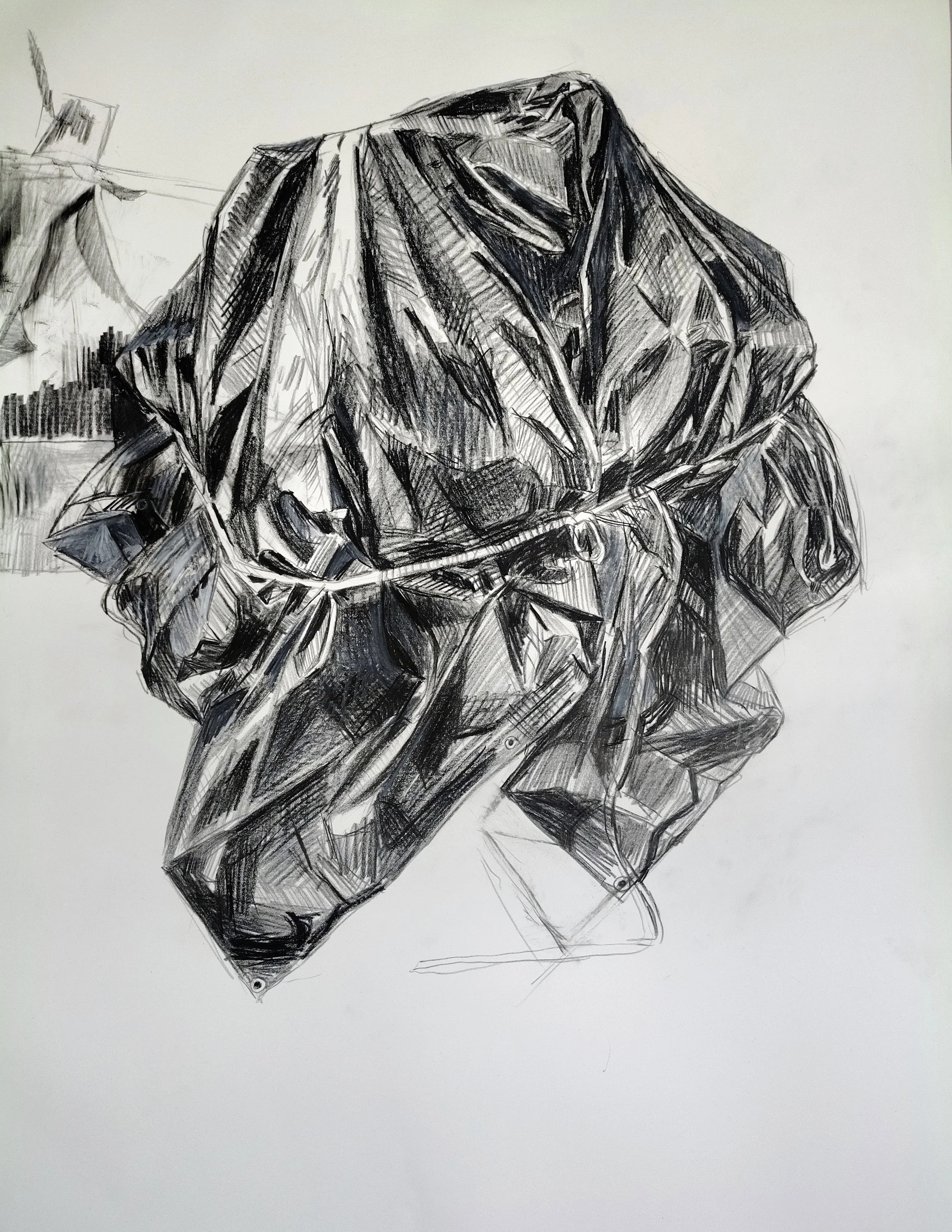 Tarp #8