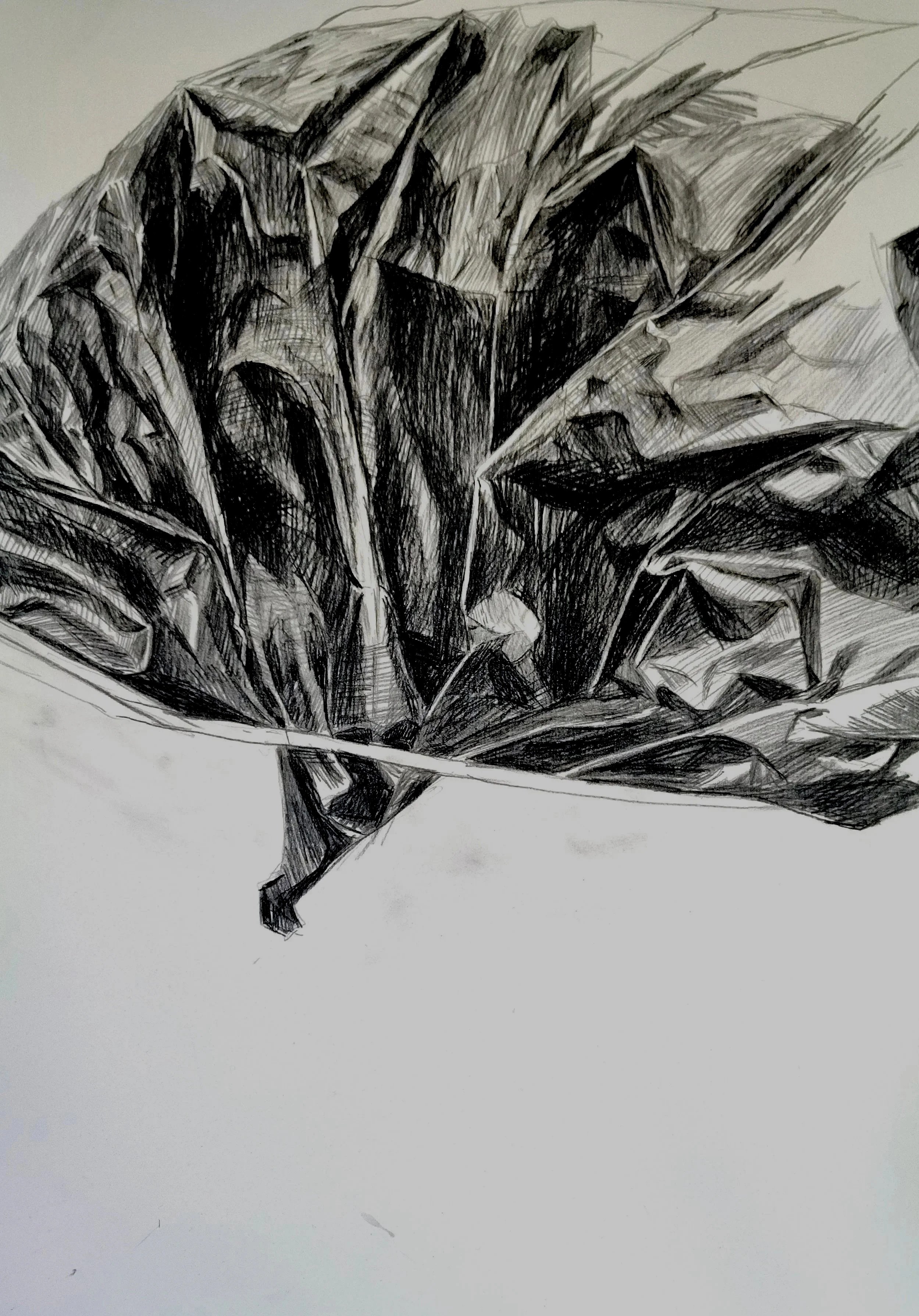 TarpNumber9.jpg