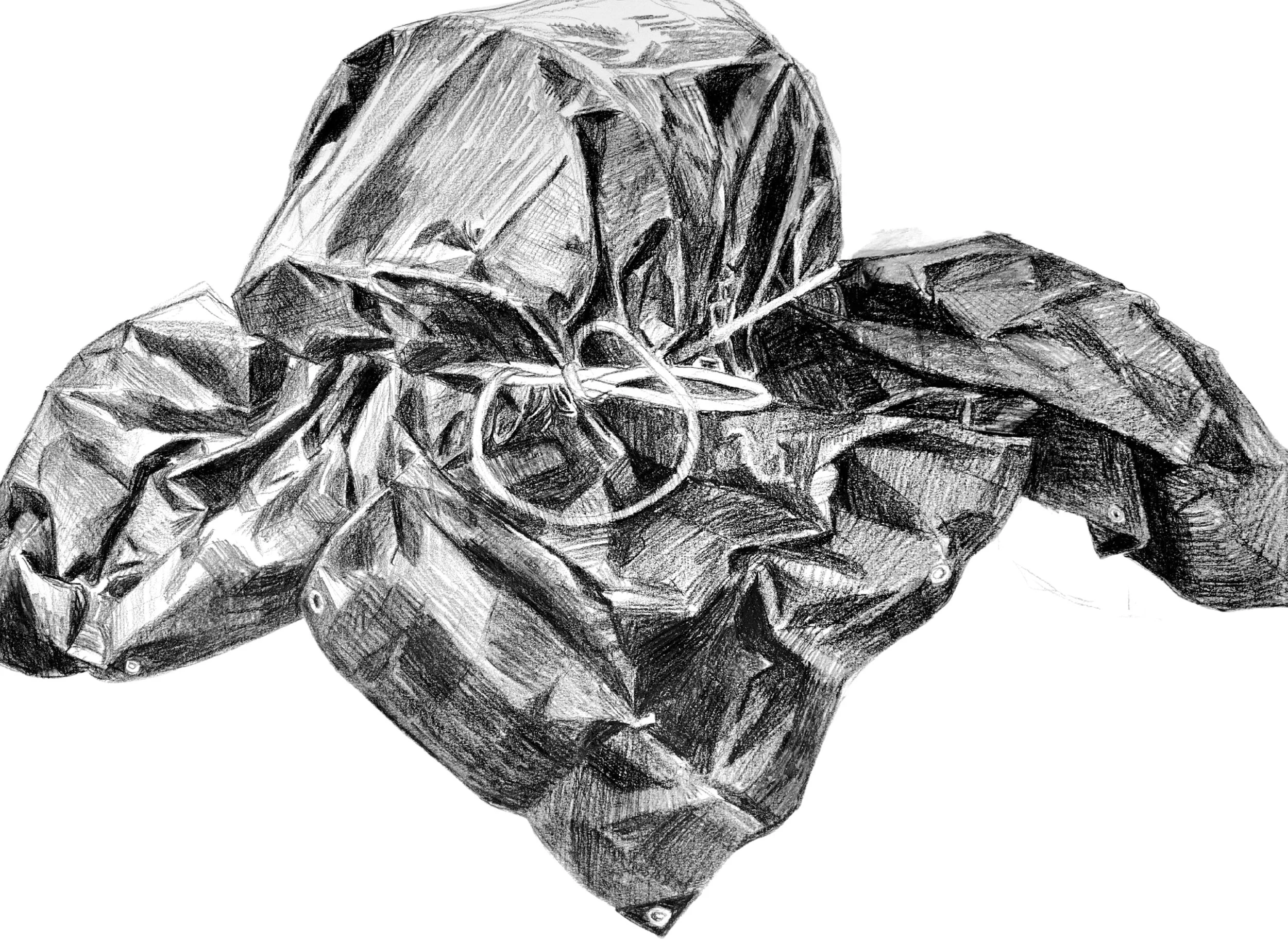 TARPS-HORIZONTAL (5).jpg