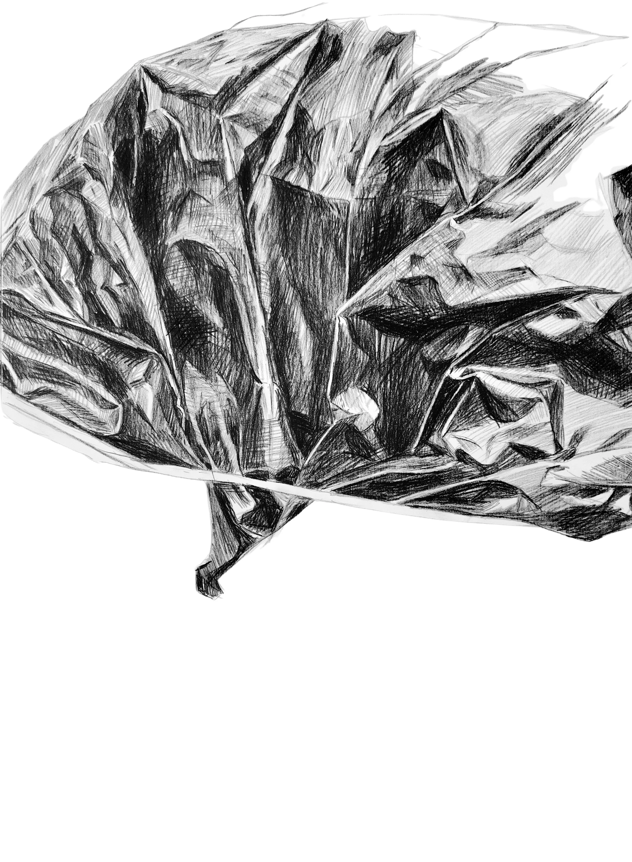 TARPS-VERTICAL (22 x 30 in) (4).jpg