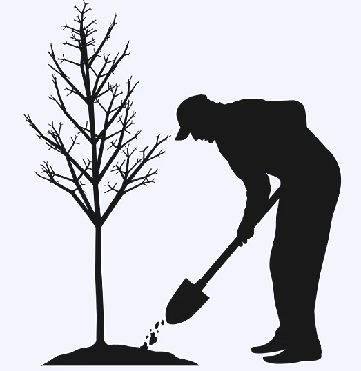 CARE o Visión  ¿Qué nos mueve realmente?