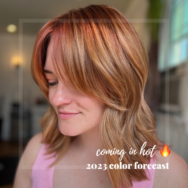 2023 Color Forecast Is Coming In Hot! — Alexandria Stylebook