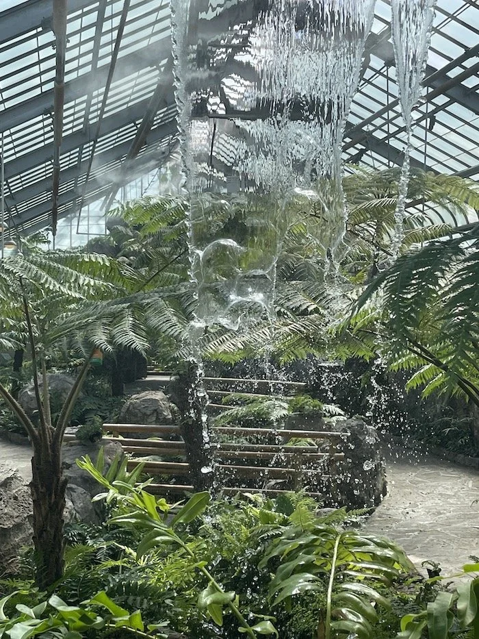 botanical garden.jpg