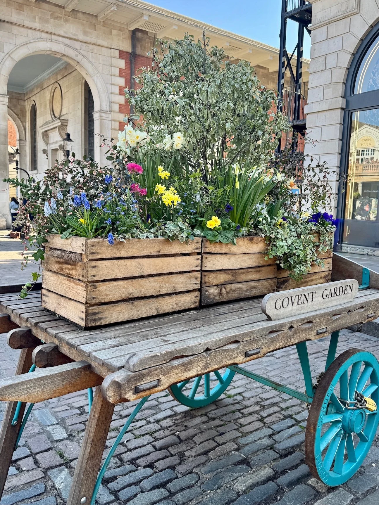 covent-garden-katelin-moomau.JPG