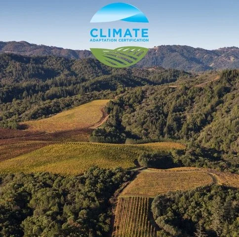 Celebrating Earth Day: No Longer a Luxury but a Necessity