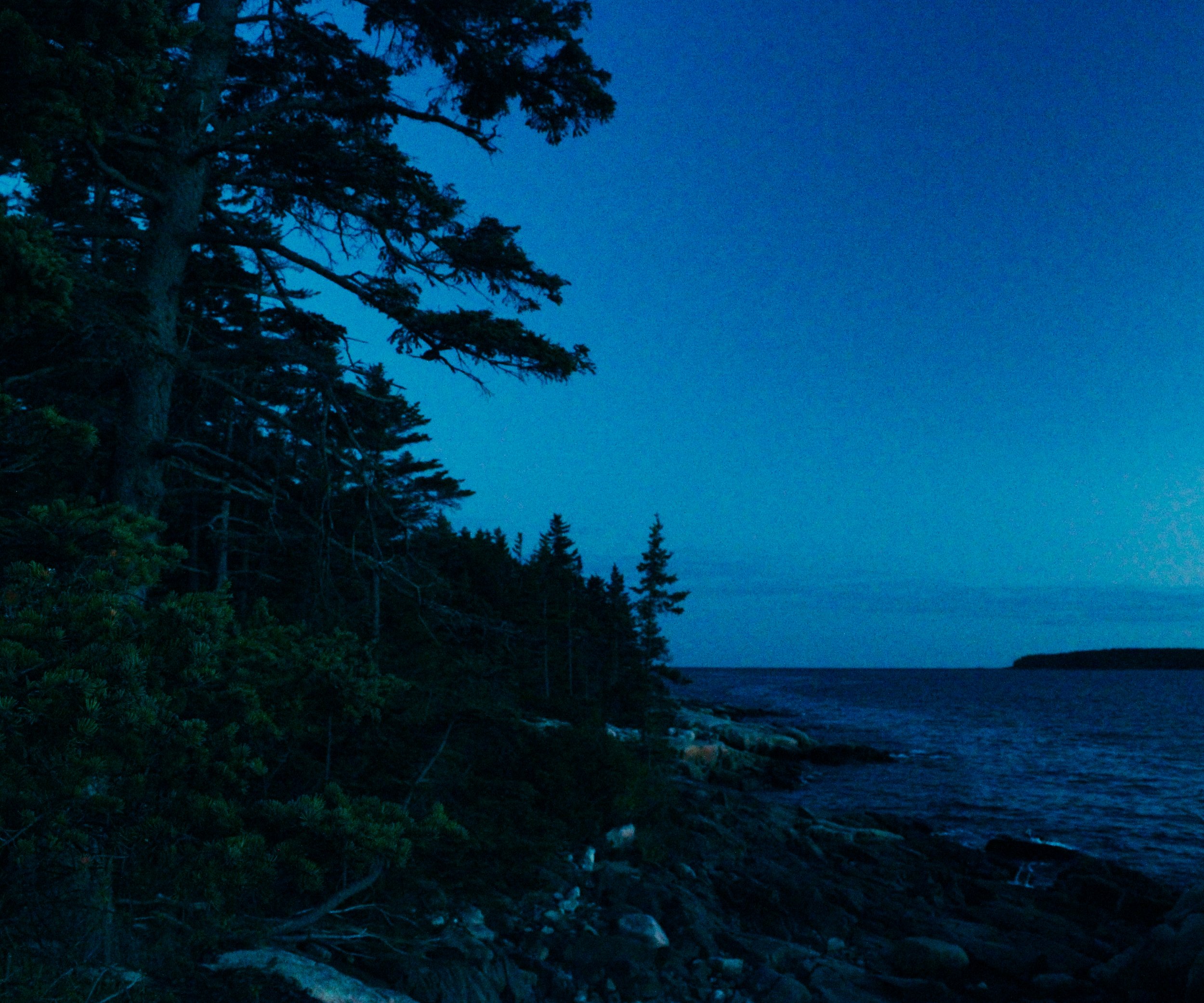 Beneath the Waning Moon