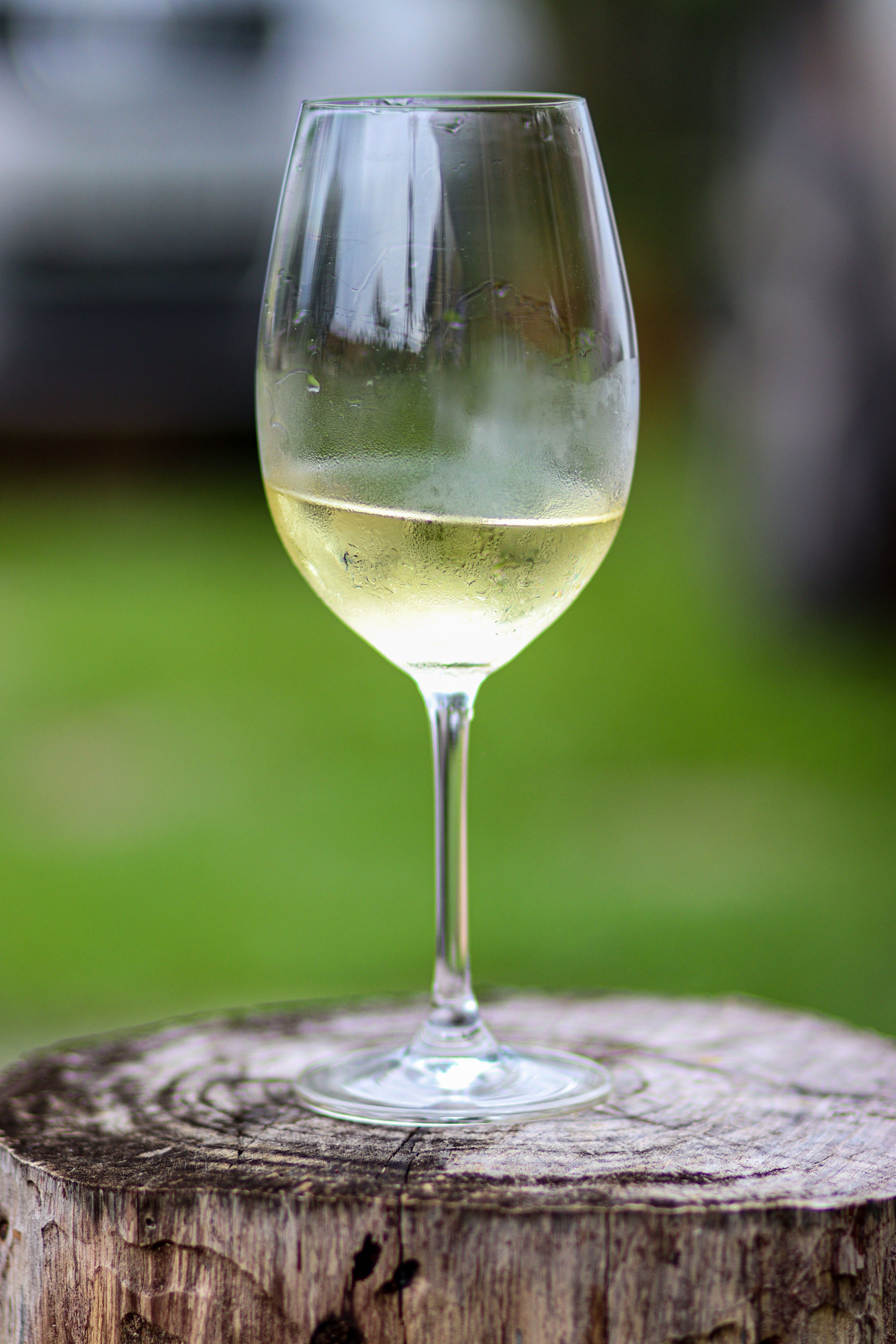 Are You a Self-Proclaimed Chardonnay Hater? This Piece Is for You