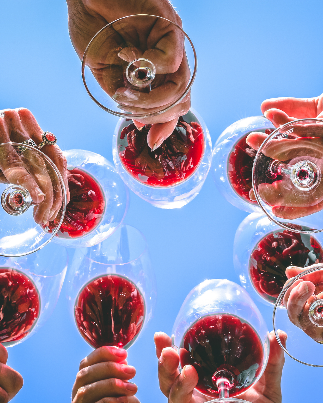Pour Over This: How Current Events Are Impacting the Wine World... and What It Means for You