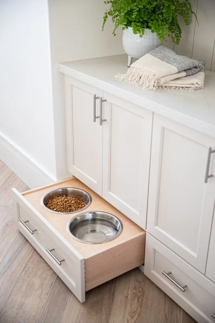 12 Luxury Pet Amenities to Consider Adding to Your Home