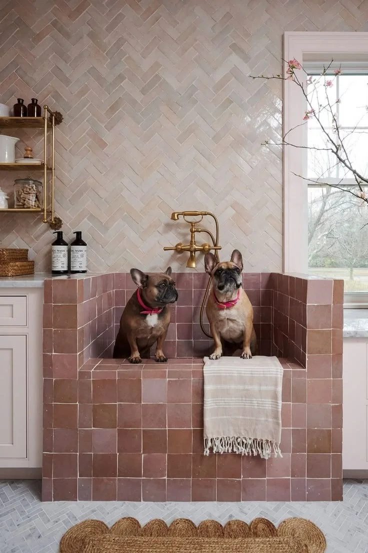 Dog Shower.jpeg