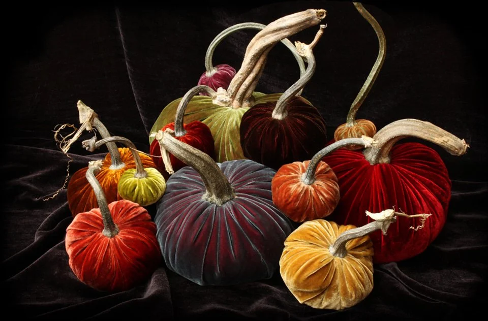 Hot Skwash velvet pumpkins rasberry ice group.jpg
