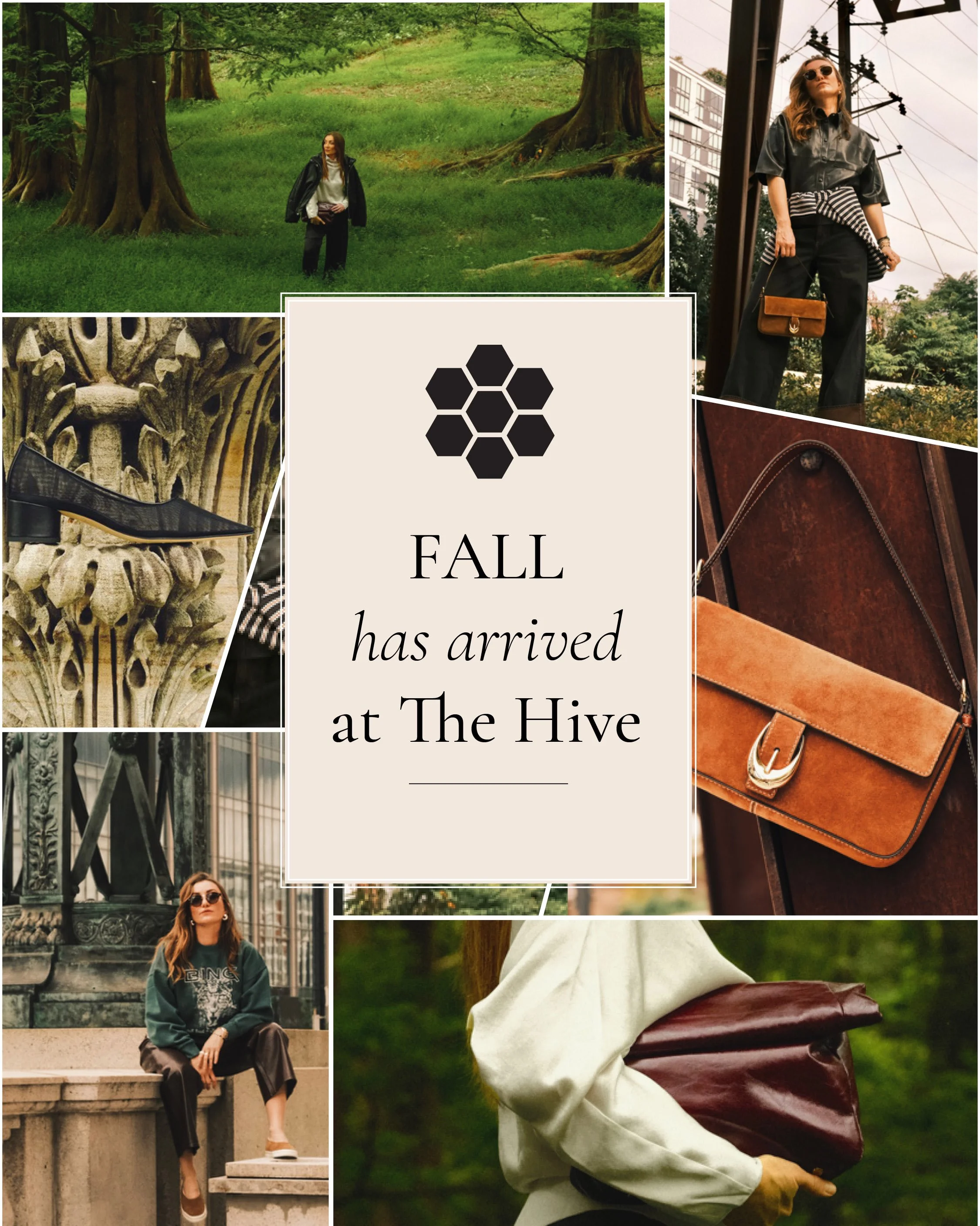 Fall Has Arrived at The Hive
