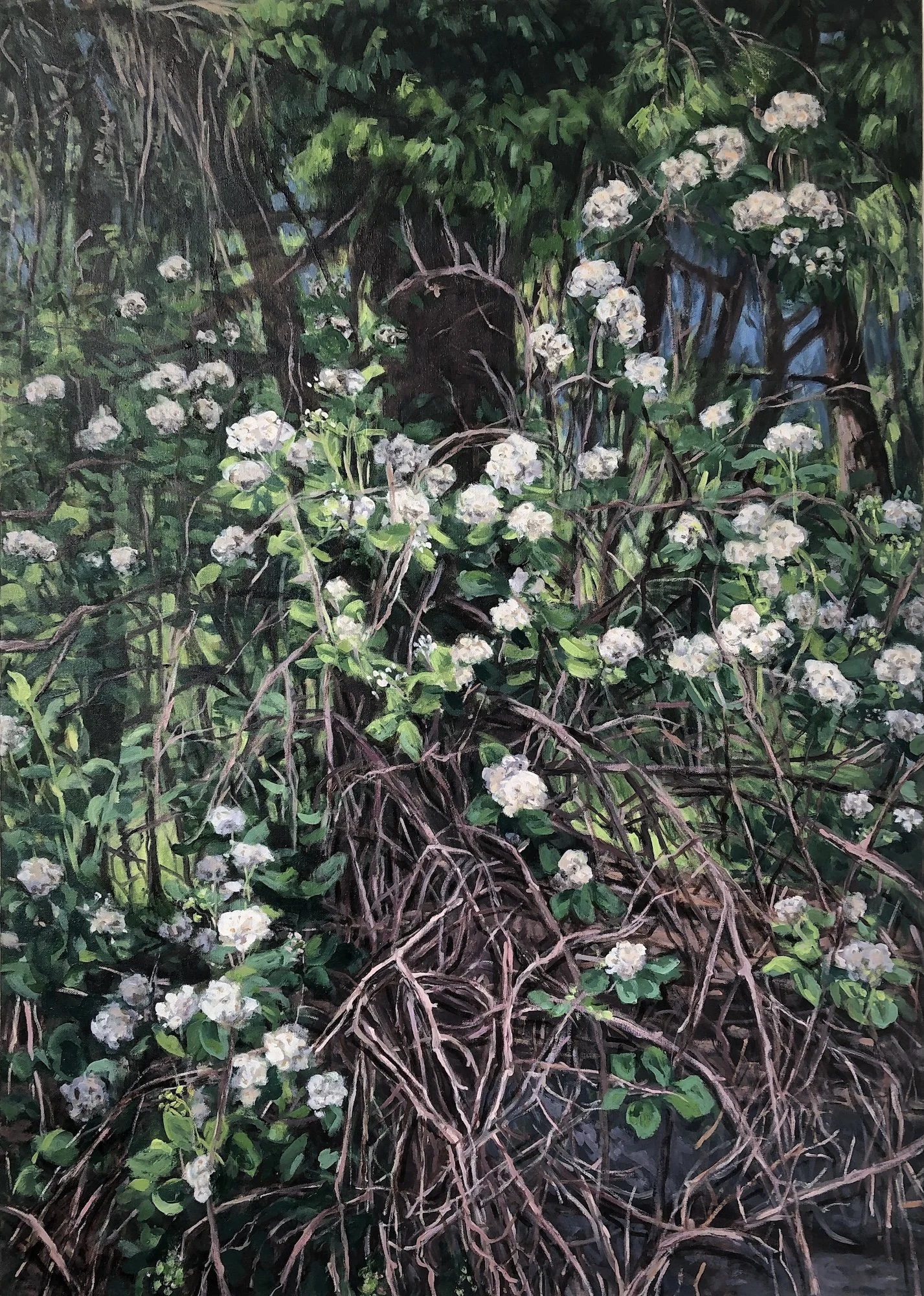 Tangled garden painting