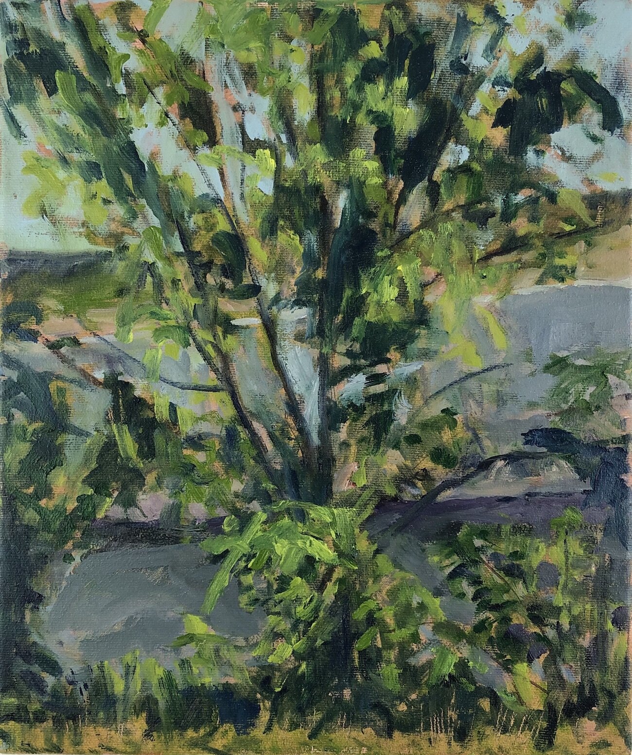 Canal, 12 x 10", oil on canvas, 2021 // $530