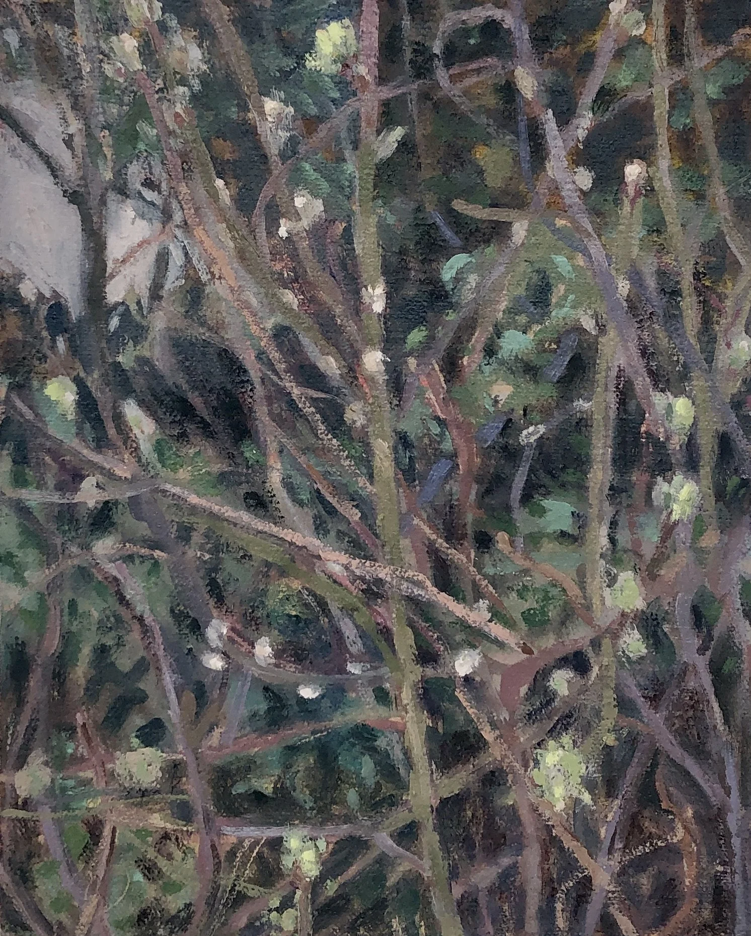 Budding Branches painting