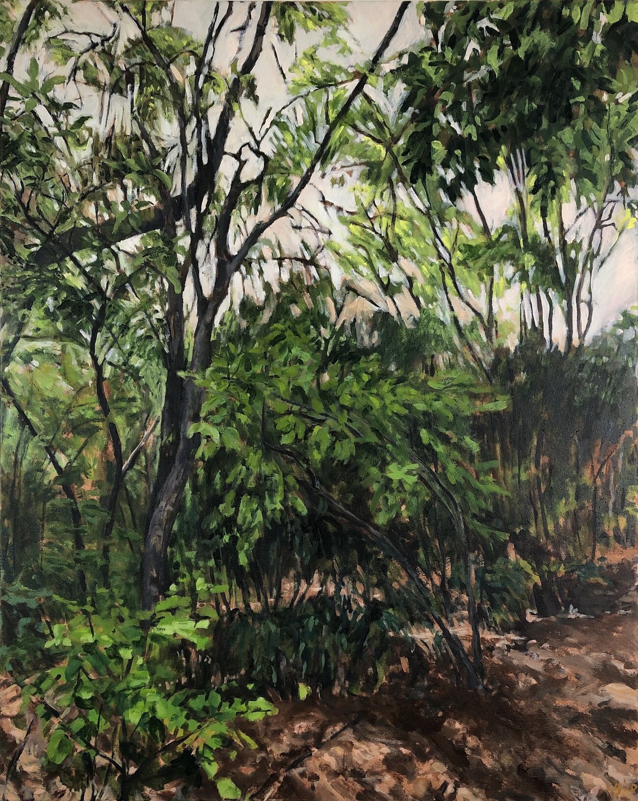 Summer Shadows, 30 x 24", oil on canvas, 2020 // $1,350